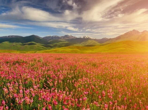 Valley of flower trek