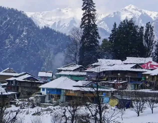 Kasol Tosh Grahan Best Price @ 3499 WDRLUST 2024