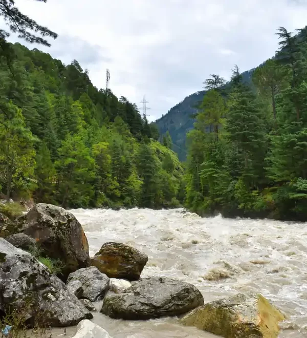 Kasol Tosh Grahan WDRLUST