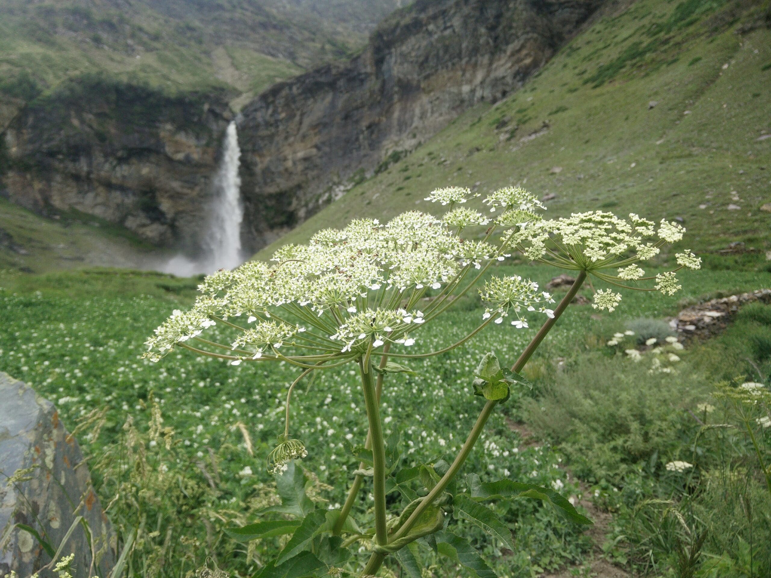 Sissu Waterfall