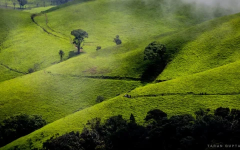 Kudremukh Trek From Bengaluru