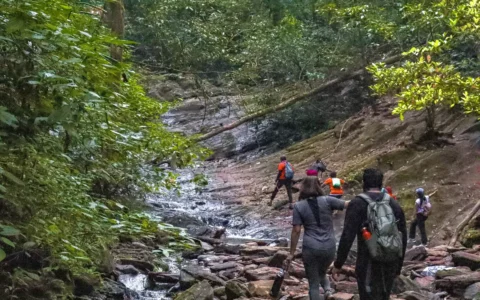 Kodachadri Trek