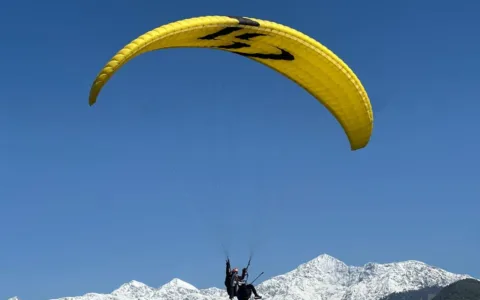 Paragliding in Bir Billing