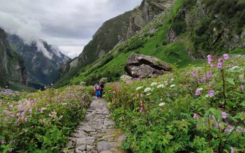 Valley of Flowers Trek