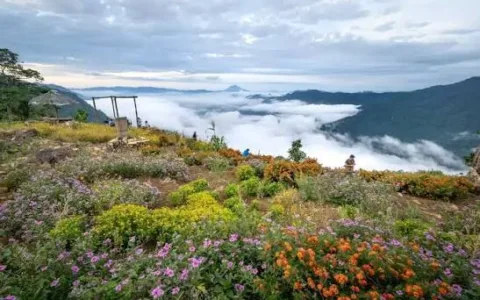 Valley of Flowers Trek