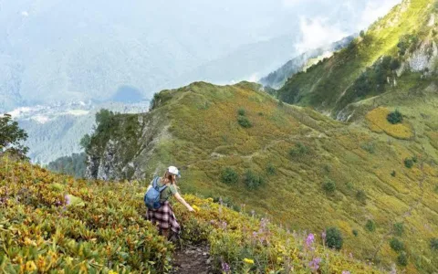Valley of Flowers Trek