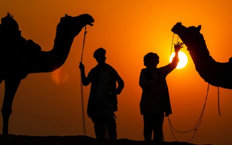 Pushkar Trip