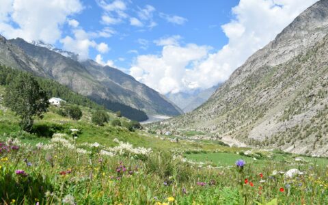 Mcleodganj Triund Trek
