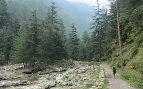 Kasol Grahan Trek