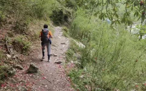 Kasol Grahan Trek