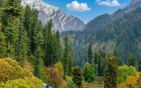 Kasol Grahan Trek