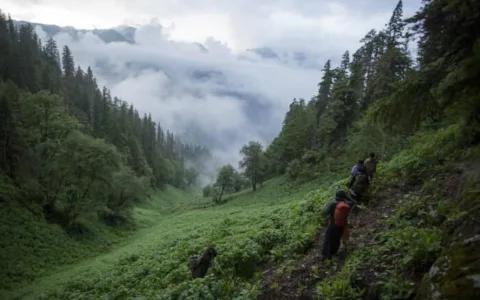 Kasol Grahan Trek