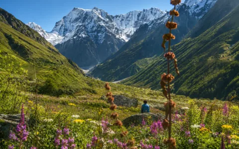 valley of flowers trek