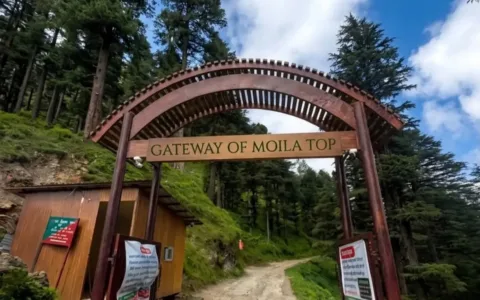 Chakrata Weekend Trip