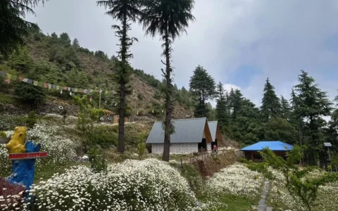 Chakrata Weekend Trip
