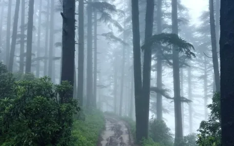 Kanatal Tehri Trip