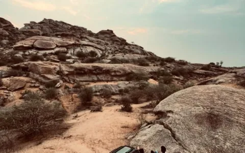 Udaipur Jawai Safari