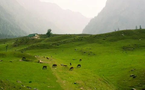 Kashmir Backpacking